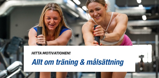 Motiveras hr - trning & mlsttning